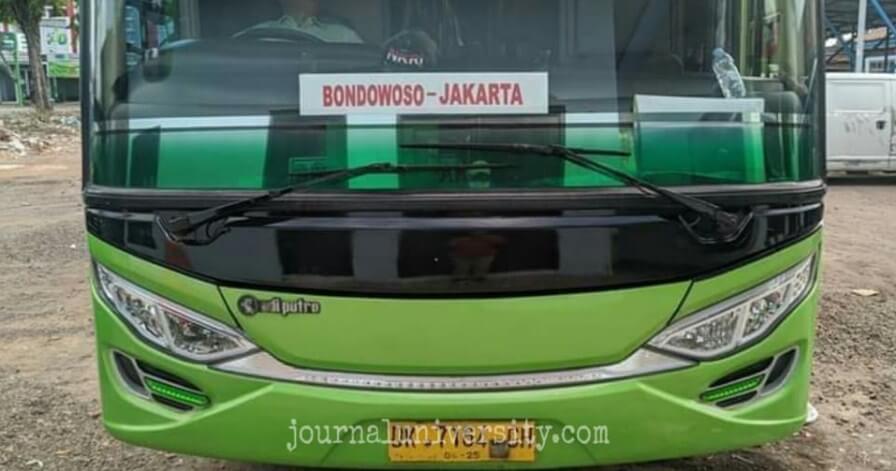 Jadwal Bus Terminal Bondowoso Terbaru Antar Kota Dan Provinsi Tarif Ekonomi dan Patas 3 Bus Bondowoso Jakarta